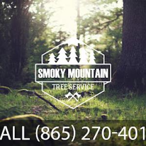 Smoky Mountain Tree Service