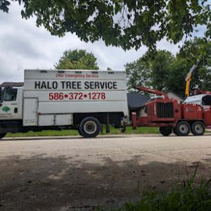 Halo Tree Service