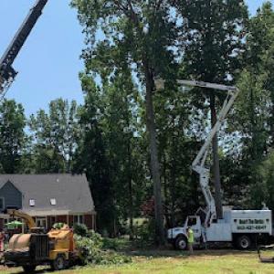 Smarr's Tree & Stump Service