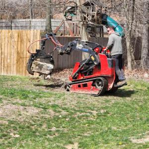 Tanzola Tree Service