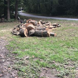 Mason's Tree Service