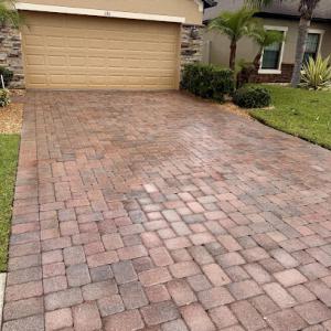 First Response Complete Tree Service & Property Management