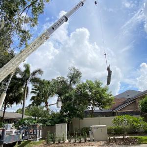 Redwine's Landscape & Tree Tech