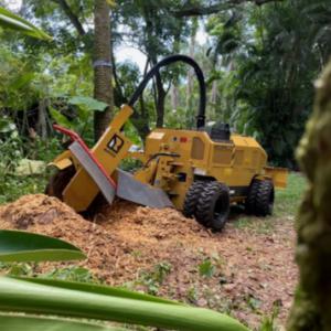 Stump Removal Expert