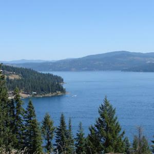 Budget Arbor & Logging