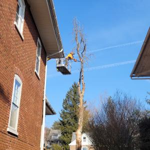 Tri-County Tree Works