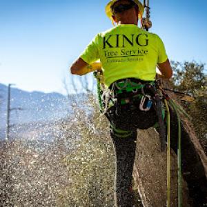 King Tree Service