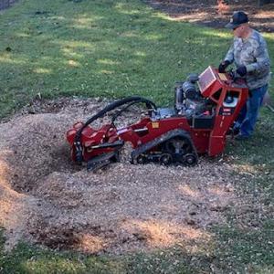 Affordable Stump Grinding