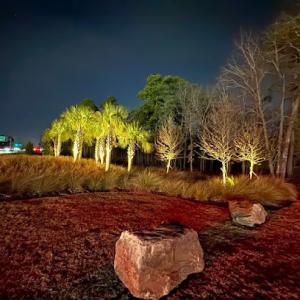 U.S. Lawns - Columbia SC