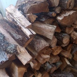 GreenTree Arboriculture