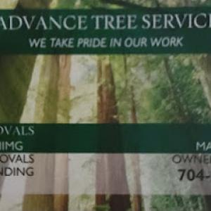 Advance Tree Service