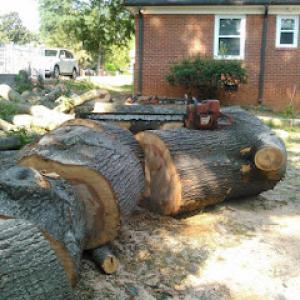 Advantage Tree Service