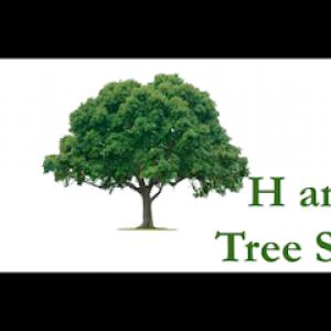 H&H Tree Service