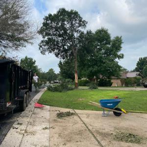 Roush Tree Removal