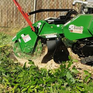 Superior Stump Services