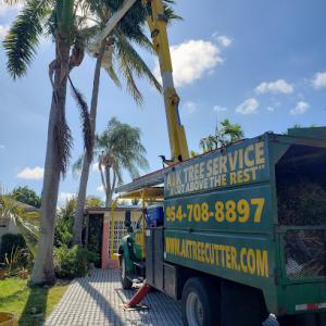 A&K Tree Service & More