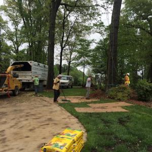 Top Notch Tree Service