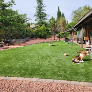 Northern Arizona Tree & Landscape Service