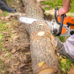 Q's Rhode Island Tree Service