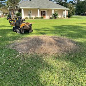 Ground Level Stump Removal & Land Services