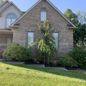 Grand Canopy Tree Service