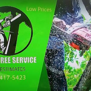 tree service Reyes