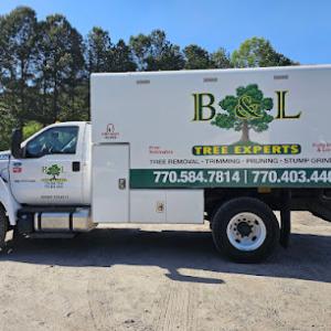B & L Tree Expert