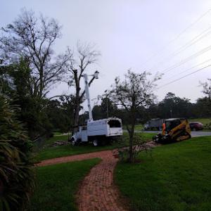 Arborscapes Trees & Landclearing Service