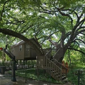 Baker Tree Service