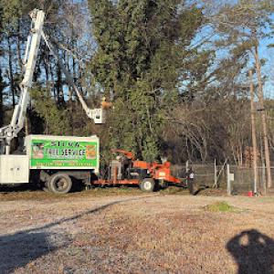 Silva Tree Service