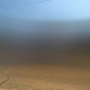 Hammock's Land & Lawn