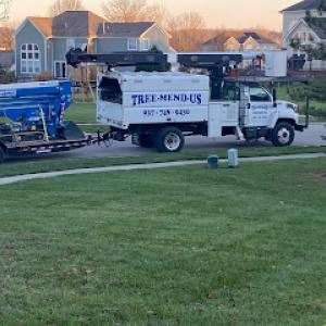 Tree-Mend-Us Tree Service