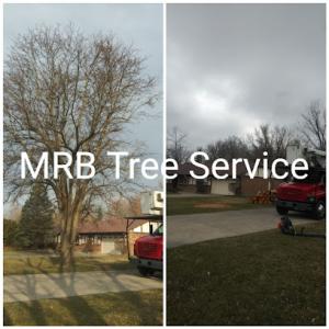 MRB Tree Service - Centerville, OH