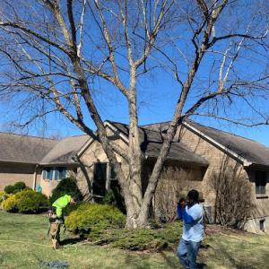 Overhaul Property Maintenance