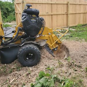 Mom & Pop's Stump Removal
