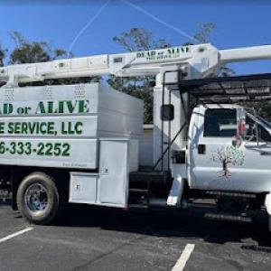Dead Or Alive Tree Service