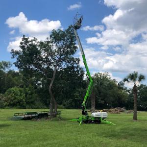 Mini Moe's Tree Service