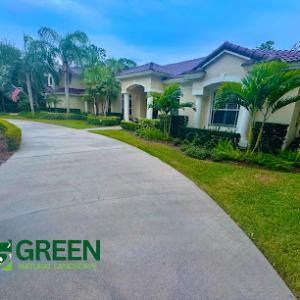 Green Natural Landscape