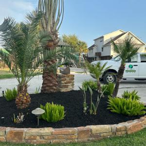 Chuy's Nursery & Landscaping