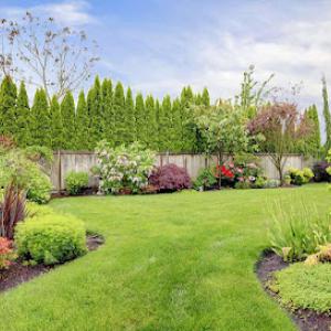 AJ Landscaping & Tree Service