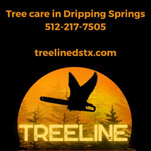 TreeLine Outdoor Services