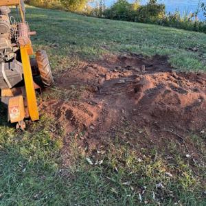 Tactical Arborist Tree Service