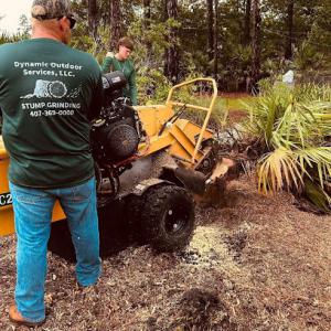 Dynamic Outdoor Services