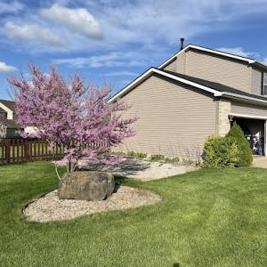 Smith Tree & Landscape