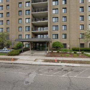 Alonzo's Tree Service