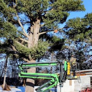 Scheidler Land Services & Tree Removal