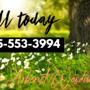 Pro Arborist Woodinville
