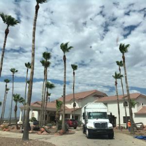 Peoria AZ Tree & Hardscape