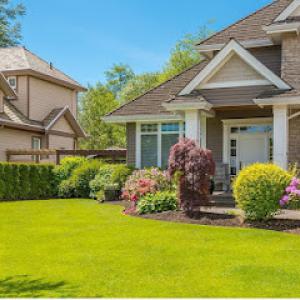 Juan Mata Lawn Care Services