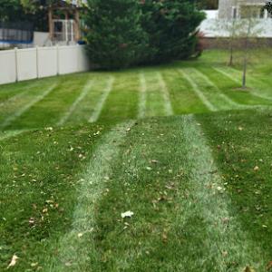 McCarver Lawn Service